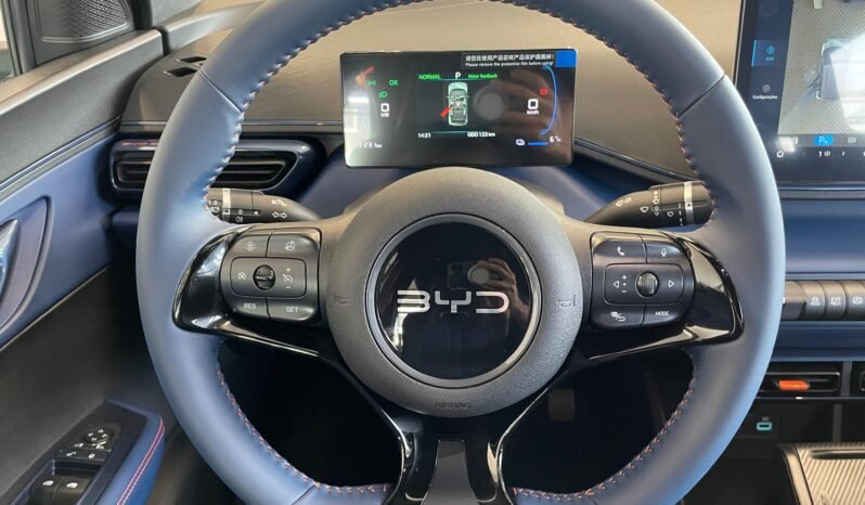 BYD Dolphin Mini completo