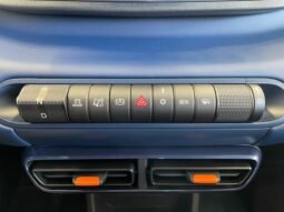 BYD Dolphin Mini completo