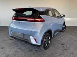 BYD Dolphin Mini completo