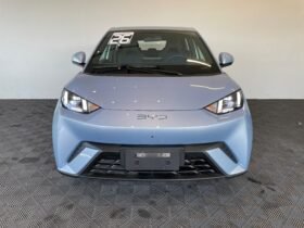 BYD Dolphin Mini