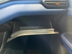 BYD Dolphin Mini completo