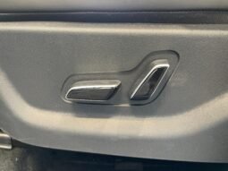 BYD Dolphin Mini completo