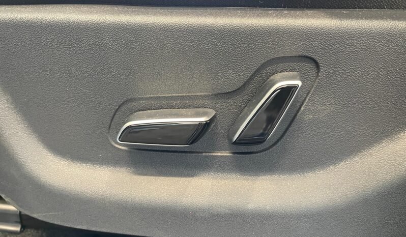BYD Dolphin Mini completo