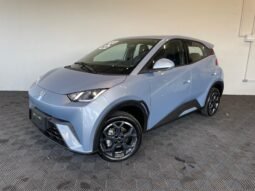BYD Dolphin Mini