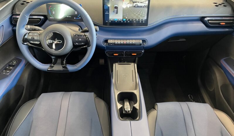 BYD Dolphin Mini completo