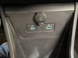 BYD Dolphin Mini completo