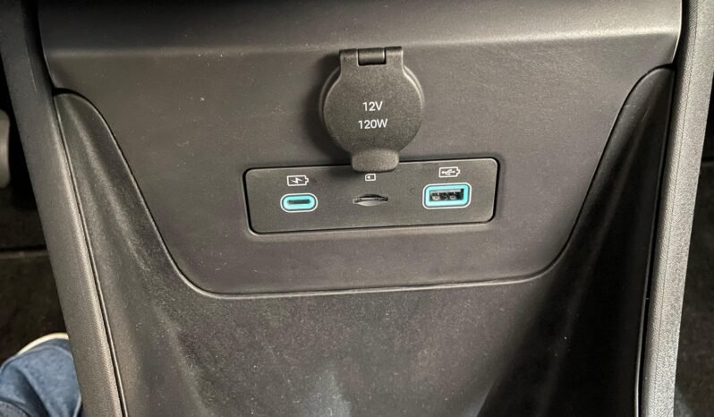 BYD Dolphin Mini completo