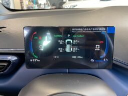 BYD Dolphin Mini completo
