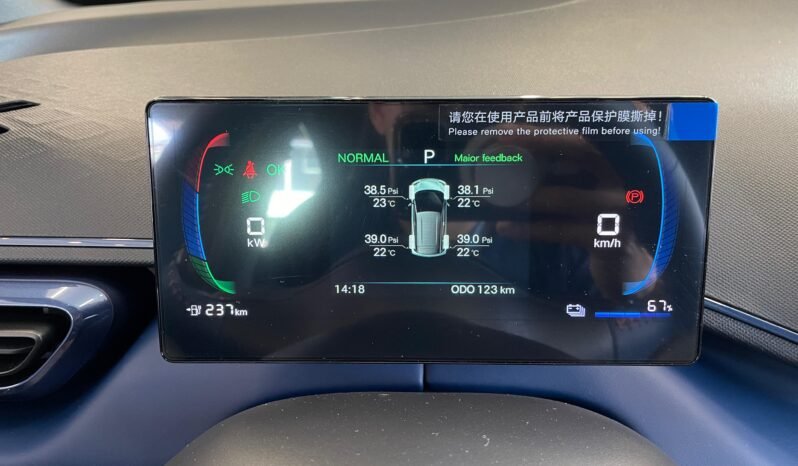 BYD Dolphin Mini completo