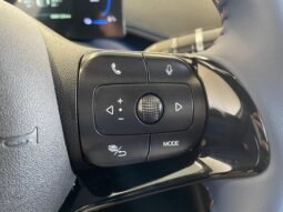 BYD Dolphin Mini completo