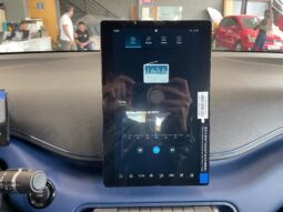 BYD Dolphin Mini 2026 completo
