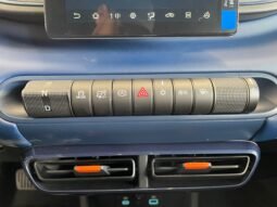 BYD Dolphin Mini 2026 completo