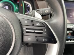 Hyundai Creta Platinum TB Aut. completo