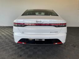 BYD King GS (Hibrido) 2025 completo