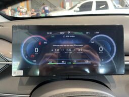 BYD King GS (Hibrido) 2025 completo