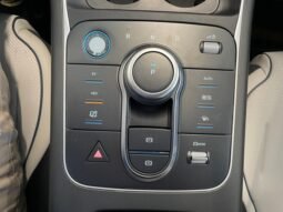 BYD King GS (Hibrido) 2025 completo