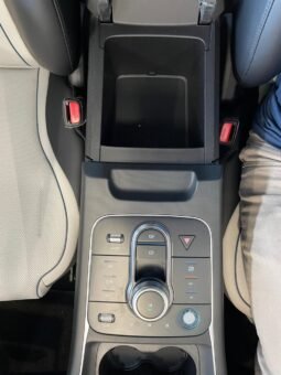 BYD King GS (Hibrido) 2025 completo