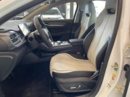 BYD King GS (Hibrido) 2025 completo