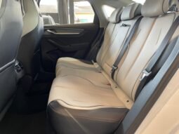 BYD King GS (Hibrido) 2025 completo