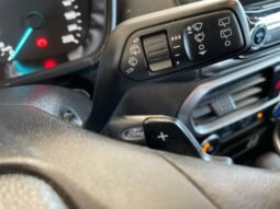 Ford EcoSport SE 2019 completo