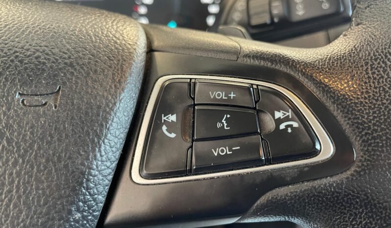 Ford EcoSport SE 2019 completo