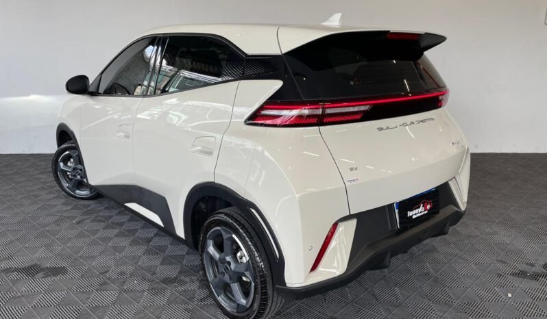 BYD Dolphin Mini (Elétrico) 2025 completo
