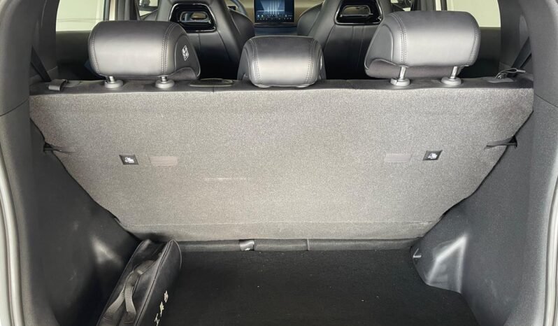 BYD Dolphin Mini (Elétrico) 2025 completo