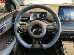 BYD Dolphin Mini (Elétrico) 2025 completo