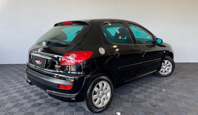 Peugeot 207 XR 2010 completo