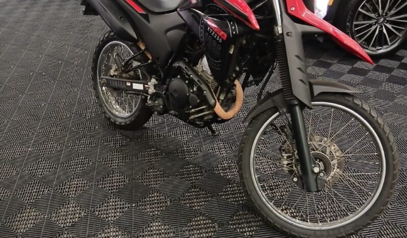 YAMAHA YBR 125i FACTOR 2019 completo