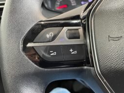 Peugeot 208 Active 2024 completo