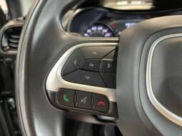 Fiat Cronos Drive 2024 completo