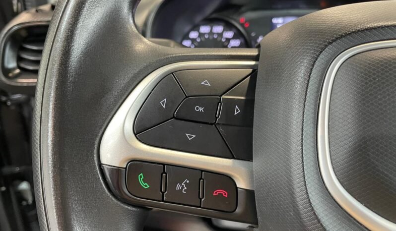 Fiat Cronos Drive 2024 completo