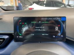 BYD Dolphin DOLPHIN MINI GLACIER BLUE 5L 2026 completo