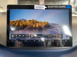 BYD Dolphin DOLPHIN MINI GLACIER BLUE 5L 2026 completo