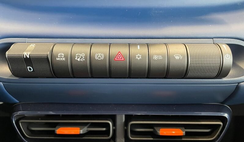 BYD Dolphin DOLPHIN MINI GLACIER BLUE 5L 2026 completo