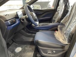 BYD Dolphin DOLPHIN MINI GLACIER BLUE 5L 2026 completo