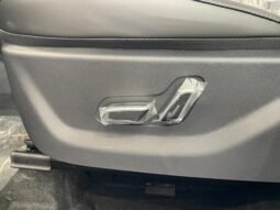 BYD Dolphin DOLPHIN MINI GLACIER BLUE 5L 2026 completo