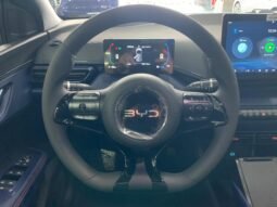 BYD Dolphin Mini (Elétrico) 2026 completo