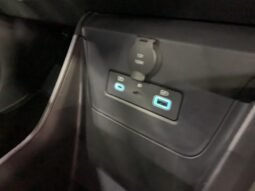 BYD Dolphin Mini (Elétrico) 2026 completo