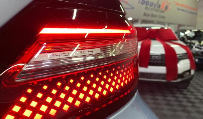 BYD Dolphin Mini (Elétrico) 2026 completo