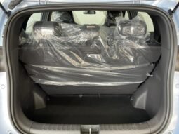 BYD Dolphin Mini (Elétrico) 2026 completo