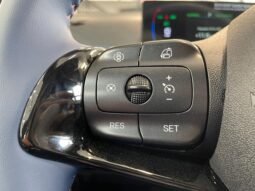 BYD Dolphin Mini (Elétrico) 2026 completo