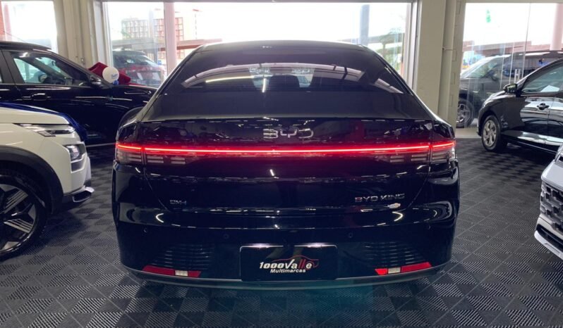 BYD King GS 1.5 16V Aut. 2025 completo