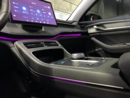 BYD King GS 1.5 16V Aut. 2025 completo