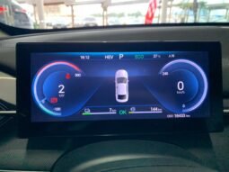 BYD King GS 1.5 16V Aut. 2025 completo