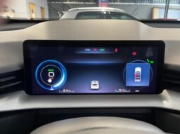 GWM Haval H6 2024 completo