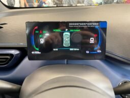 BYD Dolphin Mini 2026 completo