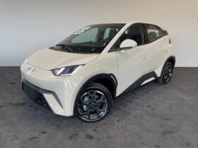 BYD Dolphin Mini 2026