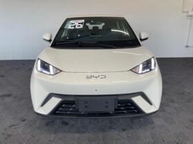 BYD Dolphin Mini 2026